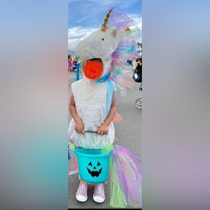 Pottery Barn Kids Size 4T unicorn costume.